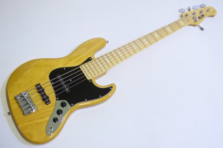FUJIGEN (FgN) NJB10MBAHV