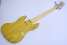 FUJIGEN (FgN) NJB10MBAHV