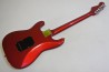 Fernandes ST-40
