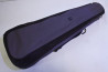 Schecter Blackjack SLS