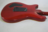 PRS SE Custom 22
