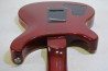 PRS SE Custom 22