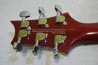 PRS SE Custom 22