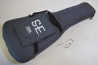 PRS SE Custom 22