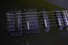 Fernandes FR-55