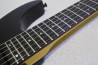 Fernandes FR-55