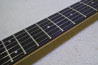 Fernandes FR-55