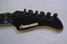 Fernandes FR-55