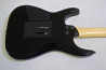 Fernandes FR-55