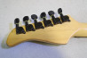 Fernandes FR-55