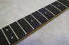 Fernandes FR-55