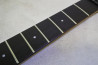 Fernandes FR-55