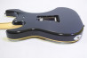SCHECTER SD-2-24AL