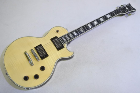 Schecter SOLO-II Custom