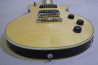 Schecter SOLO-II Custom