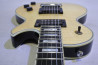 Schecter SOLO-II Custom