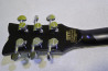 Schecter SOLO-II Custom