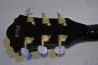 Ibanez Artcore AK95
