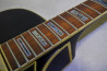 Ibanez Artcore AK95