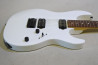 FGN BOS2-R-HH