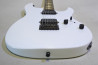 FGN BOS2-R-HH