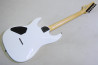 FGN BOS2-R-HH