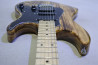Edwards E-SNAPPER-AS/M