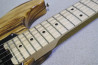 Edwards E-SNAPPER-AS/M