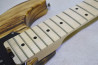 Edwards E-SNAPPER-AS/M