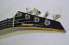 Fernandes PJS-42