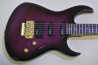 Fernandes FGZ-550.