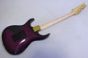 Fernandes FGZ-550.