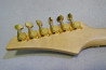Fernandes FGZ-550.