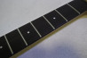 Fernandes FGZ-550.