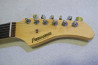 Fernandes LE-1