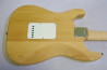Fernandes LE-1