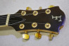 Fernandes MG-80X