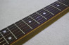 Ibanez SV470 +DiMarzio