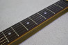 Ibanez SV470 +DiMarzio