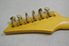 Ibanez SV470 +DiMarzio