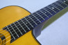 Gitane DG-255