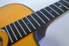 Gitane DG-255