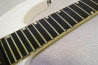 ESP Horizon-II NT. Original Series.