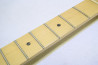 Fender American Standard Stratocaster.