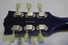 Grass Roots Les Paul Standard