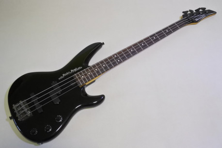 Yamaha RBX600R