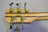 Пятиструнный Spector Legend 5 Standard