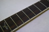 RWG Custom Telecaster Left Hand