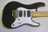 SCHECTER SD-2-24 Ash