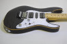 SCHECTER SD-2-24 Ash